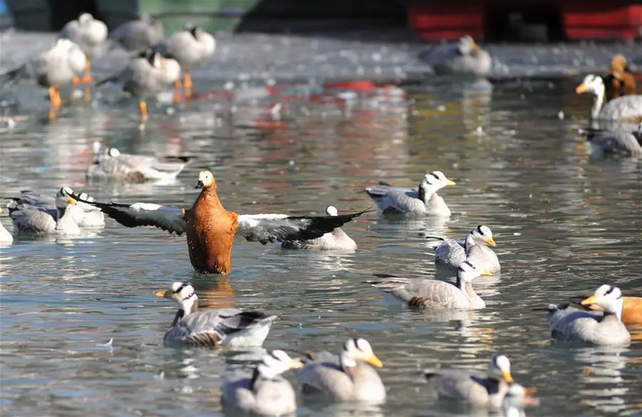 134995094_11n.jpg 134995094_11n.jpg