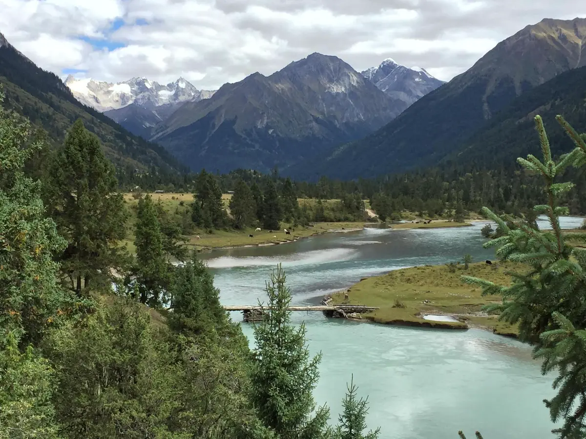 图片2.jpg 图片2.jpg