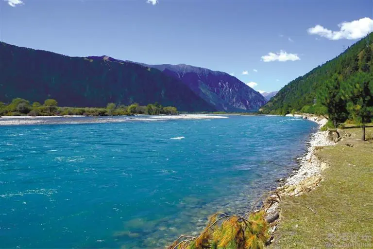 wanghr611000_s.jpg wanghr611000_s.jpg