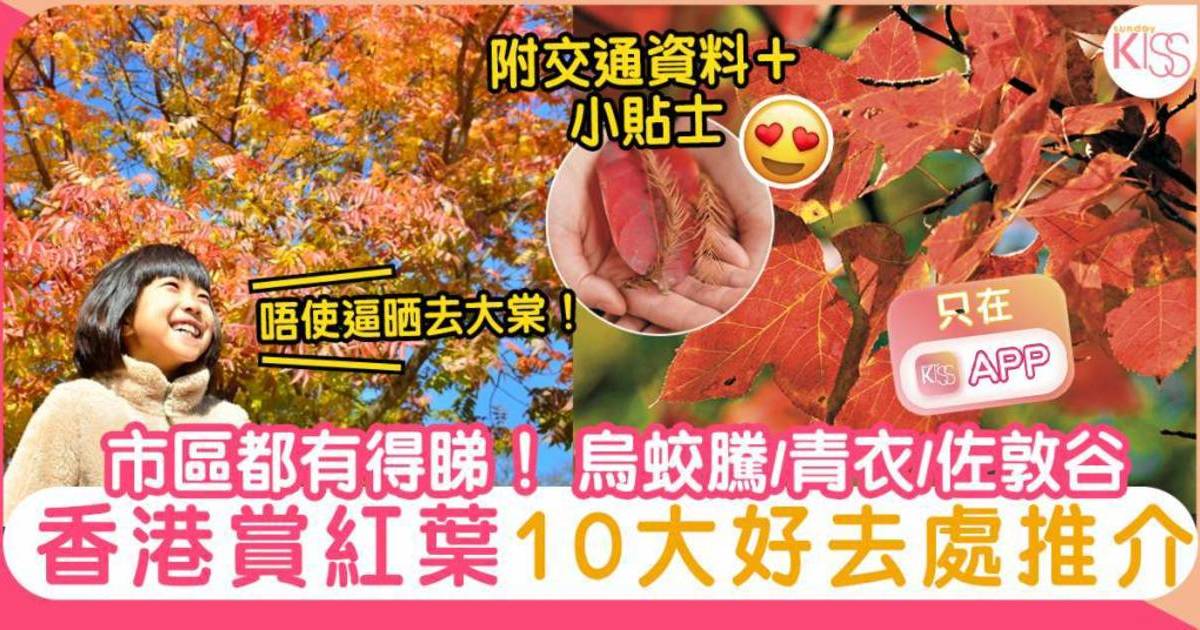 香港紅葉2024打卡9大勝地！親子行山烏蛟騰/九龍寨城公園 附紅葉指數