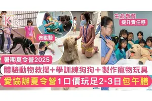 暑期夏令營2025｜入SPCA做動物護理員 體驗動物救援+學訓練狗狗 上生命教育