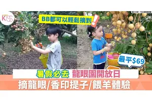 龍眼園開放日 | 摘龍眼/香印提子/餵羊體驗 最平$69