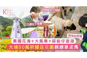 大埔蝶豆花園50萬呎6大打卡位！異國花海/大風車/踩船仔遊湖/喂動物