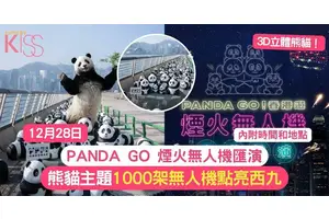 PANDA GO | 全港首場煙火無人機匯演 1000架無人機點亮西九