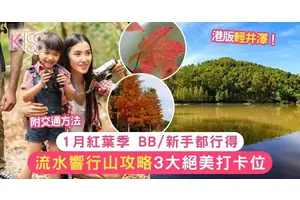 流水響紅葉｜港版輕井澤必打卡！天空之鏡＋紅葉美景 輕鬆郊遊1.5小時