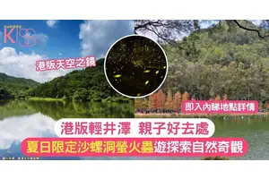 夏日限定沙螺洞螢火蟲遊｜港版輕井澤親子好去處  帶你探索自然奇觀