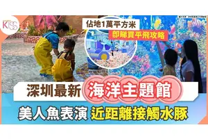 深圳好去處｜深圳恆遠海立方環遊城 1萬平方米沉浸式海洋世界＋美人魚表演