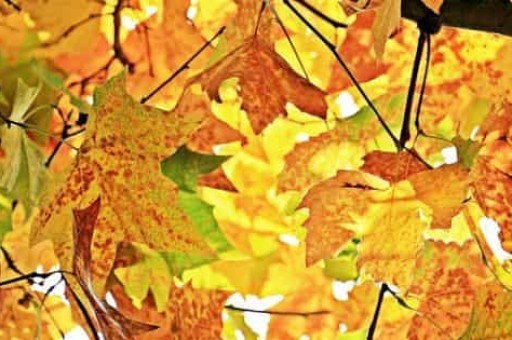 郑州周边二月份旅游景点推荐，河南郑州十大旅游景点