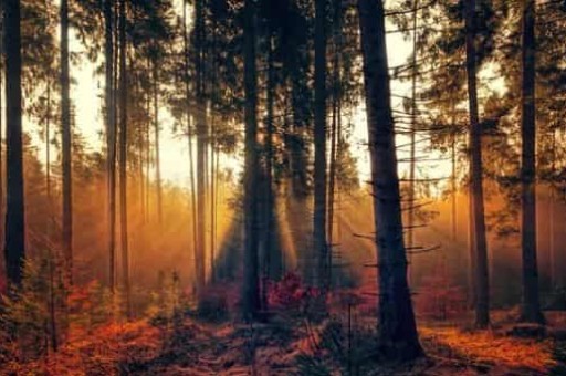 郑州出发旅游景点推荐自驾游45天，从郑州出发适合5一7天自驾游的地方