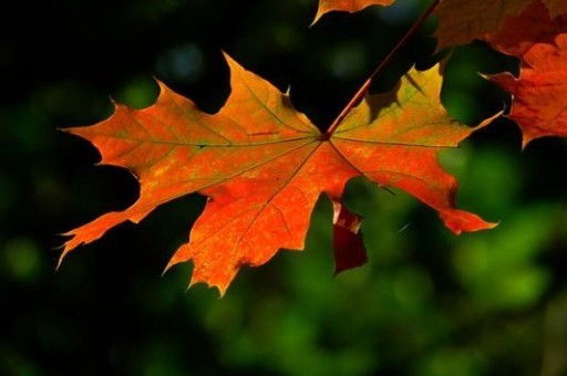 外省旅游景点推荐，湖南旅游攻略