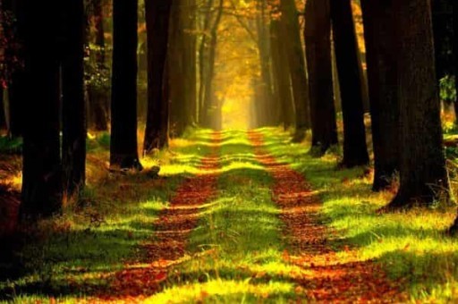 桂林十大山水旅游景点介绍作文，桂林市区内景点排名