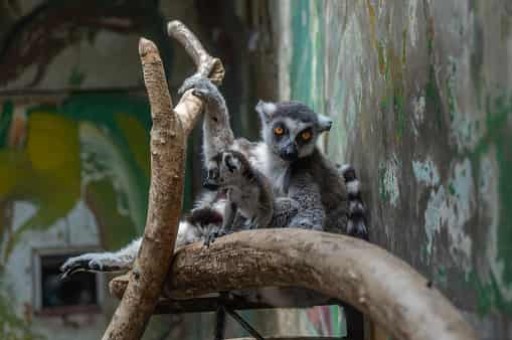 扬州宝应旅游景点攻略一日游，扬州自驾游攻略二日游