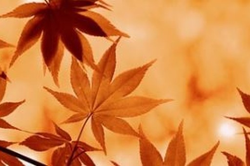 绍兴旅游景点攻略画，浙江旅游攻略