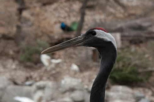 绍兴旅游景点推荐自驾一日游攻略，绍兴二日游必去景点