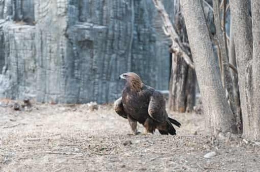 郑州附近旅游景点推荐自驾游免费，附近一日游景点自驾游