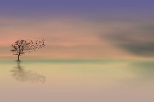 天津附近旅游景点推荐，天津旅游攻略必去景点推荐