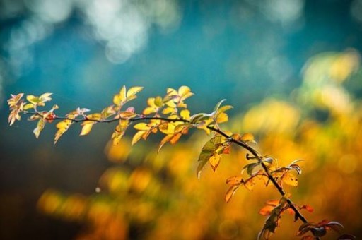 秋季扬州旅游景点攻略，扬州旅游必去景点