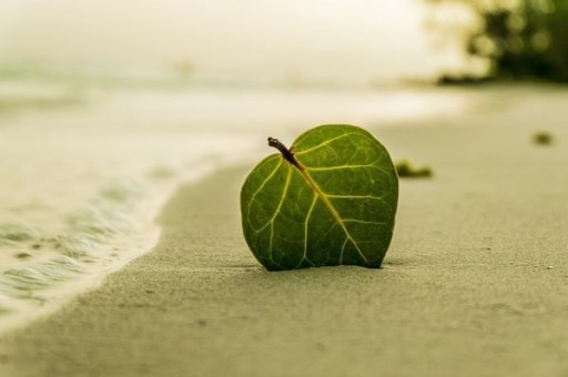 东山旅游景点推荐，东山岛必去景点