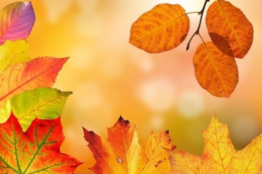 桂林梅溪旅游景点介绍作文，桂林到梅溪