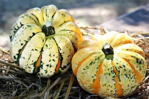 北海旅游景点推荐，北海游玩攻略景点大全