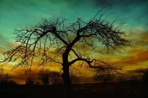 桂林旅游景点介绍及景区简介，桂林旅游景点门票价格