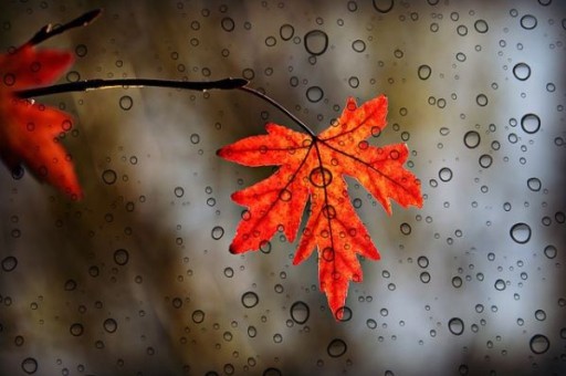 湖南省内一日游旅游景点推荐，湖南附近的旅游景点哪里好玩