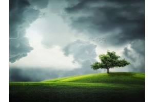 济宁市旅游景点推荐一日游，济宁游玩攻略一日游