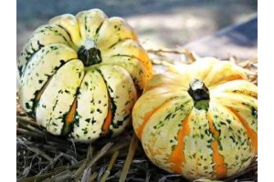 冬季郑州附近旅游景点推荐，郑州周边十一旅游最佳去处