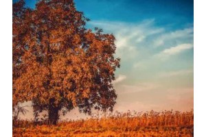 郑州旅游景点大全自驾游推荐路线，河南郑州周边旅游景点大全