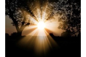 桂林市兴安县红色旅游景点介绍作文，广西桂林市兴安县