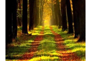 郑州周边农庄度假旅游景点推荐，郑州附近农家乐旅游度假村