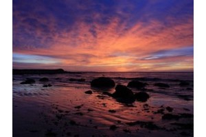 沧州周边旅游景点推荐，沧州自驾游一天适合去哪里