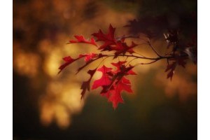 绍兴兰亭旅游景点攻略一日游，绍兴兰亭好玩吗