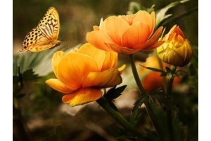 扬州旅游景点攻略大全最新，扬州二日游最佳安排