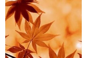 桂林旅游景点导游介绍，以导游的身份介绍一处旅游景点