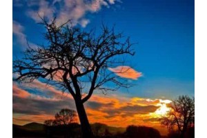 洛阳至郑州旅游景点推荐路线，洛阳旅游攻略一日游路线推荐