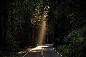 绍兴水乡古镇旅游景点攻略图片大全，绍兴有几个古镇最好玩