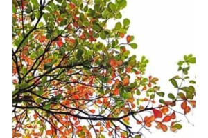 扬州附近城市旅游景点攻略推荐一下，江苏扬州有什么好玩的地方旅游景点