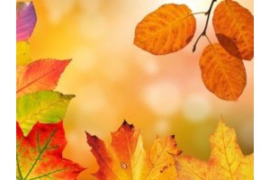 桂林永福镇旅游景点大全介绍，桂林永福有什么景点