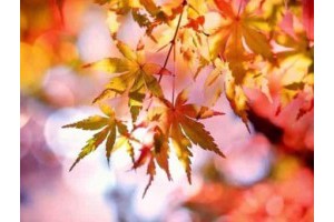 山东省外旅游景点推荐，山东省最值得去的城市