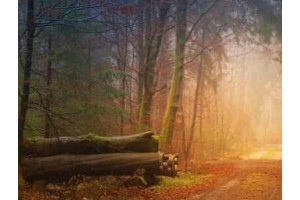 旅游景点攻略绍兴，浙江绍兴旅游景点大全