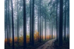 6月份旅游景点推荐，旅游景点排行榜前十名