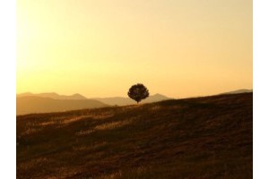 桂林阳朔瑶族旅游景点介绍，桂林阳朔游必去景点旅游攻略