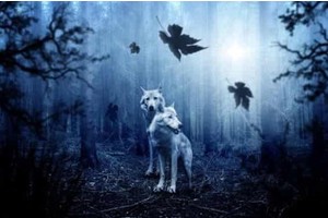 桂林百色旅游景点介绍，百色市一日游必去景点