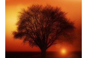 扬州晚上旅游景点攻略图片，扬州二日游最佳安排