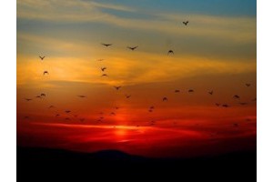 福建沙滩旅游景点推荐，漳州必去十大景点推荐