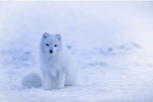 桂林旅游景点大全介绍作文，桂林一日游