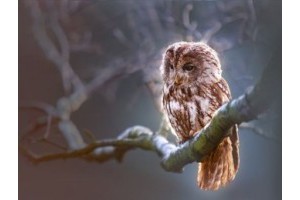 郑州旅游景点推荐大全图片及价格，郑州好玩又免费的景点