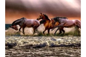 绍兴旅游景点兰亭攻略路线，绍兴一日游最佳景点