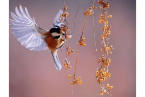 桂林兴安十大旅游景点图片介绍大全，广西兴安县旅游景点大全